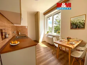 Pronájem bytu 1+1, Nové Město na Moravě, Luční, 30 m2