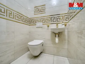 Prodej bytu 4+1, Plzeň - Východní Předměstí, Anglické nábřeží, 90 m2