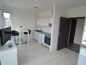 Pronájem bytu 1+kk, Vestec, U Hrubých, 35 m2