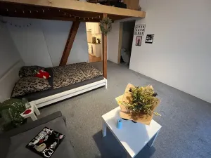 Prodej bytu 2+kk, Praha - Holešovice, Veverkova, 55 m2