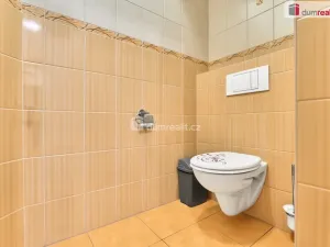 Prodej ubytování, Chlum u Třeboně, Chelčického, 570 m2