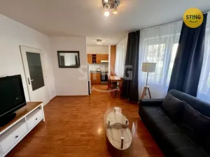 Pronájem bytu 1+kk, Ostrava - Bělský Les, 38 m2