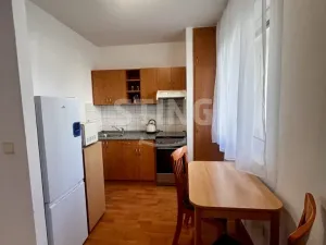 Pronájem bytu 1+kk, Ostrava - Bělský Les, 38 m2