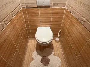 Pronájem bytu 2+1, Brno, Záhřebská, 56 m2