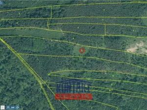 Prodej lesa, Krašlovice, 32226 m2