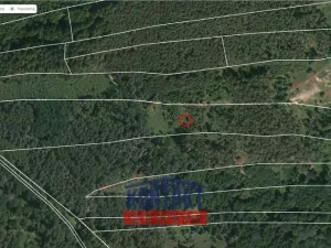 Prodej lesa, Krašlovice, 32226 m2