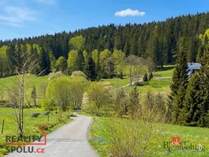 Prodej louky, Železná Ruda, 3475 m2