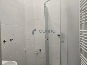 Pronájem bytu 1+kk, Praha, Spálená, 30 m2