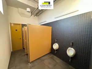 Pronájem skladu, Měšice, Nádražní, 435 m2