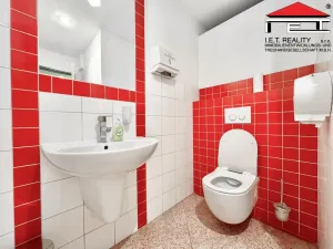 Pronájem kanceláře, Brno, Koperníkova, 25 m2