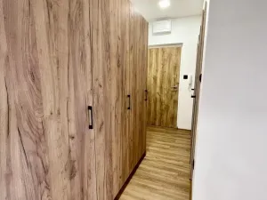 Prodej bytu 1+1, Ostrava - Hrabůvka, Dr. Martínka, 37 m2