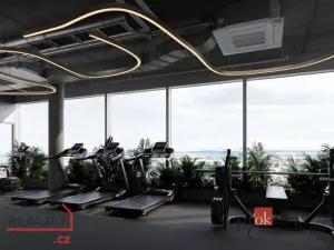 Prodej bytu 1+kk, Plzeň - Jižní Předměstí, náměstí Českých bratří, 48 m2