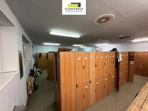 Pronájem skladu, Litvínov - Záluží, 7684 m2