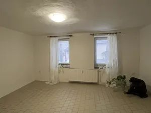 Pronájem bytu 1+1, Tršice - Hostkovice, 48 m2