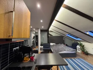 Prodej bytu 1+kk, Praha - Vinohrady, Sázavská, 45 m2