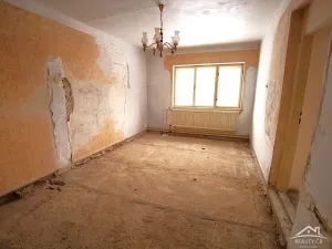 Prodej rodinného domu, Rozsochy, 371 m2