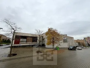 Prodej obchodního prostoru, Chomutov, Zahradní, 14070 m2