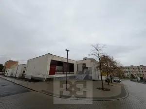 Prodej obchodního prostoru, Chomutov, Zahradní, 14070 m2