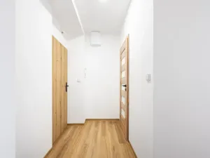 Prodej bytu 1+1, Brno, Svatopluka Čecha, 38 m2