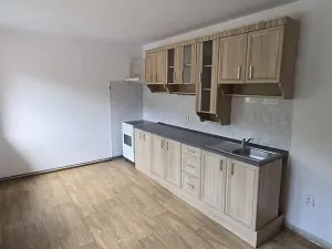 Pronájem bytu 1+1, Česká Lípa, 45 m2