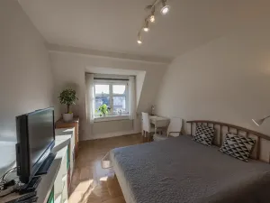 Pronájem bytu 1+1, Praha - Michle, Na úlehli, 46 m2