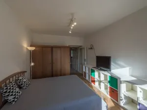 Pronájem bytu 1+1, Praha - Michle, Na úlehli, 46 m2