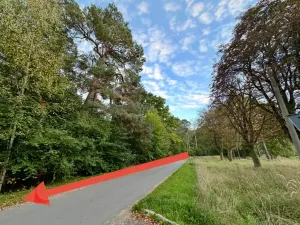 Prodej pozemku pro bydlení, Luštěnice, 9366 m2