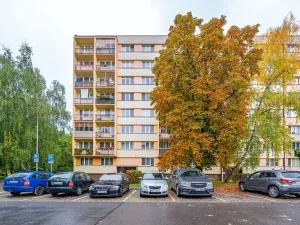 Pronájem bytu 2+1, Ostrava, Mánesova, 55 m2