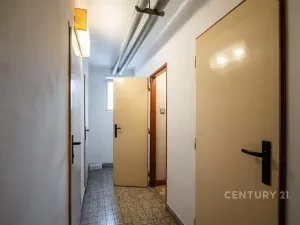 Prodej bytu 3+1, Plzeň, Na Bradlavce, 104 m2