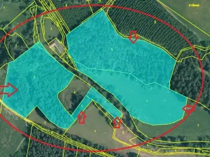 Prodej podílu lesa, Vacov, 23843 m2