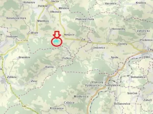 Prodej podílu lesa, Vacov, 23843 m2