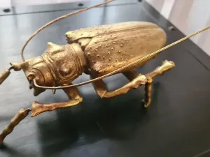 Pronájem bytu 2+1, Praha - Nové Město, Na výtoni, 85 m2