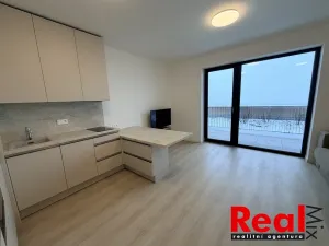 Pronájem bytu 1+kk, Mokrá-Horákov - Mokrá, 30 m2