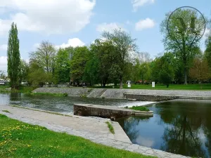 Pronájem bytu 2+kk, České Budějovice, Novohradská, 50 m2