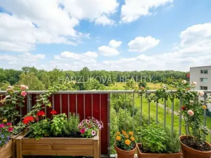 Prodej bytu 2+kk, České Budějovice - České Budějovice 2, Husova tř., 50 m2