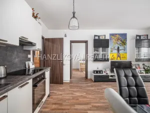 Prodej bytu 2+kk, České Budějovice - České Budějovice 2, Husova tř., 50 m2