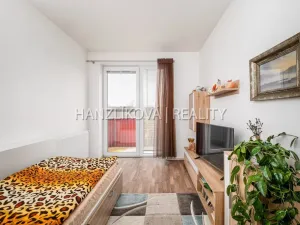 Prodej bytu 2+kk, České Budějovice - České Budějovice 2, Husova tř., 50 m2