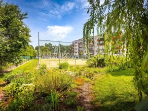 Prodej bytu 2+kk, České Budějovice - České Budějovice 2, Husova tř., 50 m2