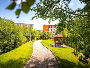 Prodej bytu 2+kk, České Budějovice - České Budějovice 2, Husova tř., 50 m2