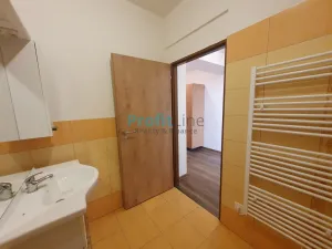 Pronájem bytu 3+kk, Sudkov, 57 m2