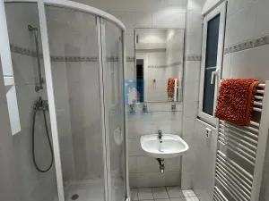 Pronájem bytu 1+1, Plzeň, Zámečnická, 45 m2