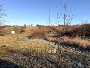 Prodej pozemku, Ostrožská Nová Ves, 982 m2