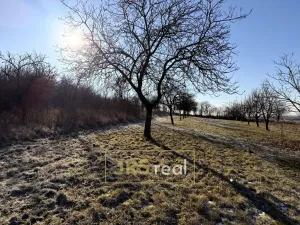 Prodej pozemku, Ostrožská Nová Ves, 982 m2