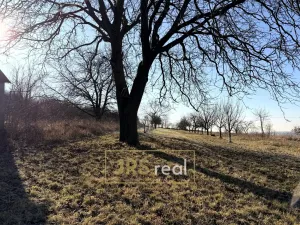 Prodej pozemku, Ostrožská Nová Ves, 982 m2