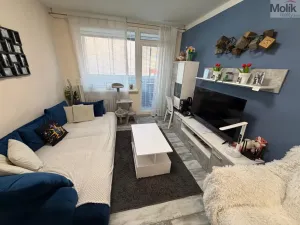 Prodej bytu 2+kk, Most, K. J. Erbena, 43 m2