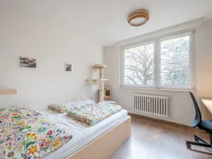 Prodej bytu 2+1, Brno, ulice Čoupkových, 54 m2