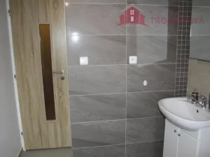 Pronájem bytu 1+1, Kozlovice, 50 m2