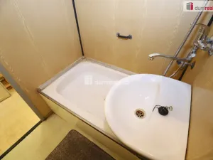 Prodej bytu 1+1, Chodová Planá, sídliště Lučina, 37 m2