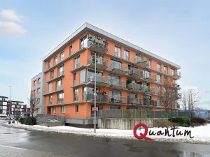 Pronájem bytu 1+kk, Praha - Žižkov, Olgy Havlové, 38 m2