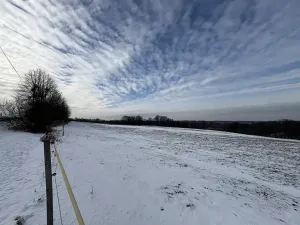 Prodej louky, Bruzovice, 94427 m2